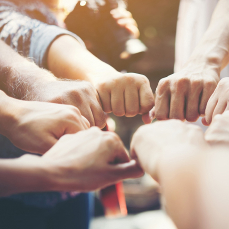 �ڴ��ʵꡤAPP(�й���)���޹�˾����